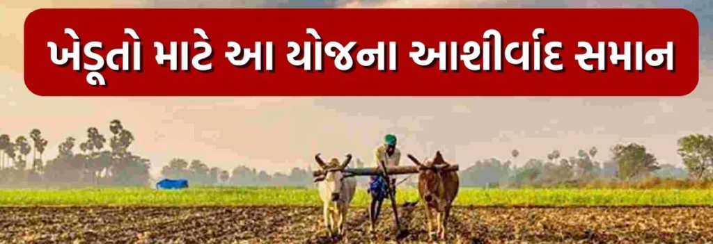 farmer with his two bull on farming land and describes about government farmer skim