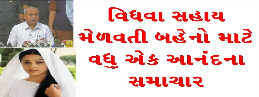 widow women and detail about government widow helping skim